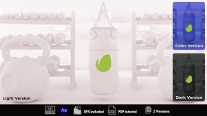Videohive Gym Time Logo Stings template preview