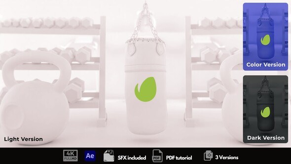 Videohive Gym Time Logo Stings template preview