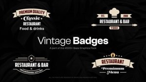 Videohive 15 Vintage Badges Elements template preview