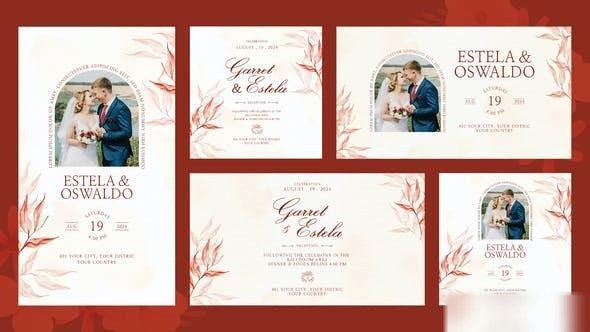 Videohive Delia Wedding Invitation Openers template preview