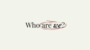 Videohive Who are we? - Fast Brand Intro Openers template preview