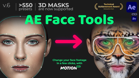 AE Face Tools Video Displays template preview
