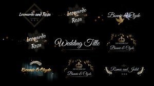 Videohive Six Beautiful Wedding Title Titles template preview