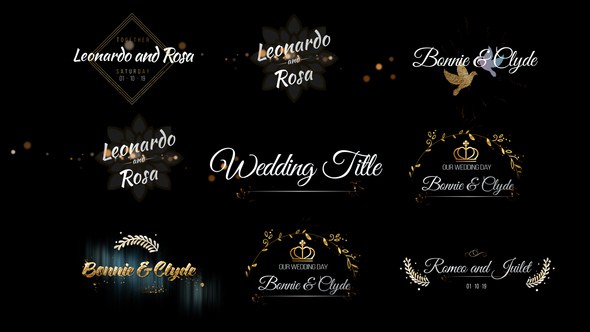 Videohive Six Beautiful Wedding Title Titles template preview