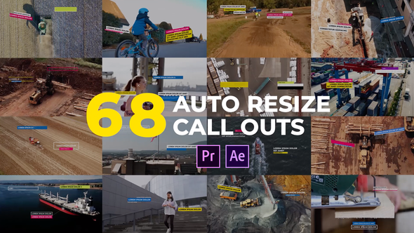 Auto Resizing Call-Outs l MOGRT for Premiere Pro Video Displays template preview