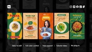 Videohive Restaurant Instagram Stories 44160104 Product Promo template preview
