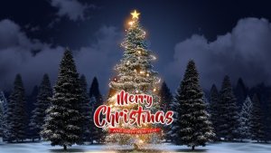 Videohive Christmas Greeting Deer Jump In The Forest Openers template preview