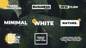 Videohive Modern Titles | After Effects 50720747 Titles template preview