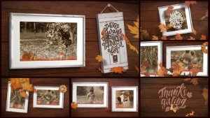 Videohive Thanksgiving Frames Video Displays template preview