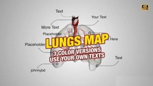 Videohive Lungs Map 4K Openers template preview