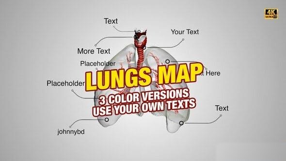 Videohive Lungs Map 4K Openers template preview