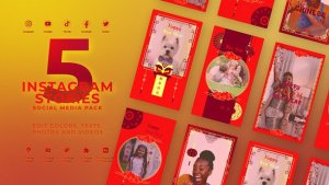 Videohive Chinese New Year Celebration 56145403 Elements template preview
