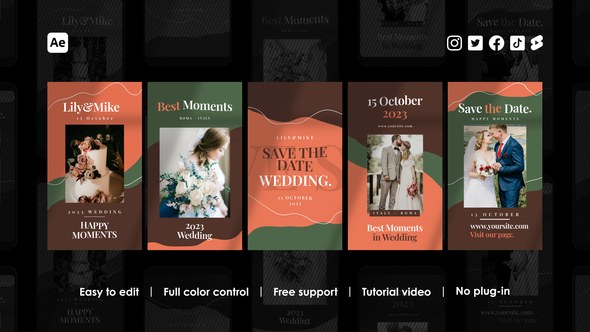 Videohive Wedding Instagram Reels 46735779 Product Promo template preview