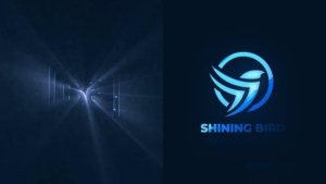 Videohive Shining Cinematic Logo Reveal Logo Stings template preview