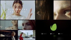 Videohive Simple Opener 45457169 Openers template preview
