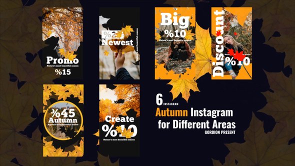 Videohive Autumn Instagram Stories 47859896 Product Promo template preview