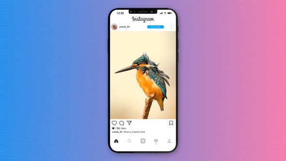 Videohive Instagram Promo 20756644 Openers template preview