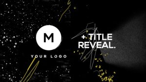 Videohive Logo & Title Reveal Scribble Grunge Video Displays template preview
