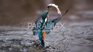 Videohive Parallax - Photo Animation Kit 4K - After Effects Templates Video Displays template preview