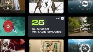 Videohive Business Vintage Badges Titles template preview