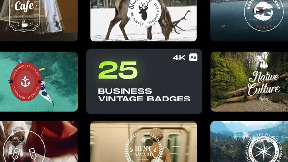Videohive Business Vintage Badges Titles template preview