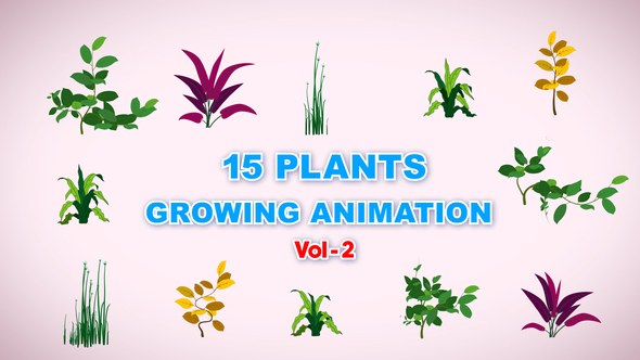 Videohive 15 Growing Plants Animation Pack Vol 2 Product Promo template preview