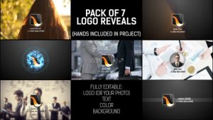 Pack of Hand Logo Video Displays template preview