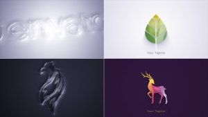 Videohive Clean Elegant Logo Reveal Logo Stings template preview