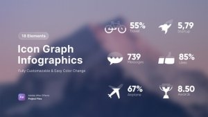 Videohive Icon Graph Infographics Infographics template preview