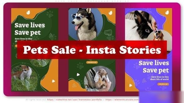 Videohive Pets Sale - Instagram Stories Openers template preview