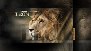 Videohive Incredible Africa Openers template preview