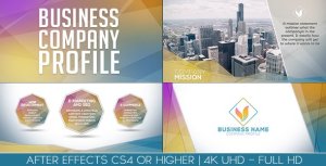 Videohive Business Company Profile Video Displays template preview