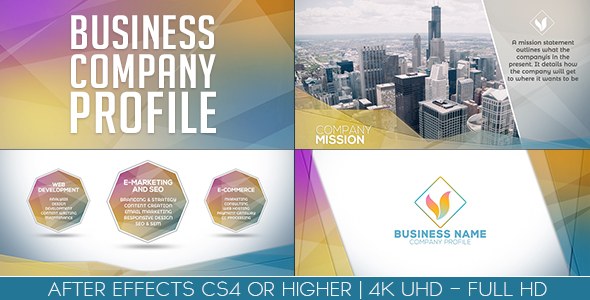 Videohive Business Company Profile Video Displays template preview