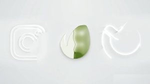 Videohive Elegant Logo Reveal 40029236 Logo Stings template preview