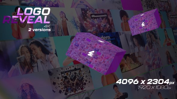 Videohive Mosaic Photo Wall and Logo Reveal Logo Stings template preview