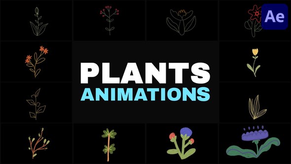 Videohive Nature Plants Kids Drawings Animation for After Effects Elements template preview