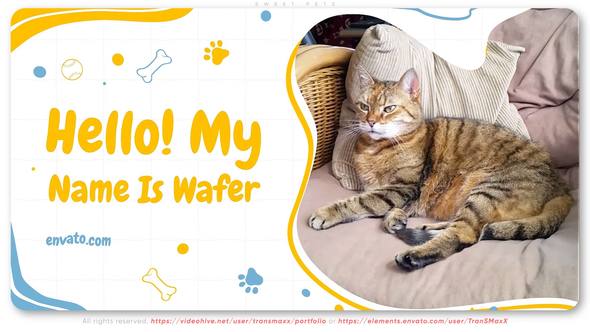 Videohive Sweet Pets Video Displays template preview