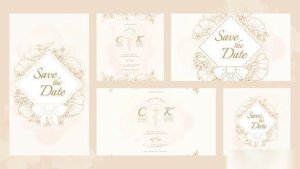 Videohive Union Wedding Invitation Intro Openers template preview