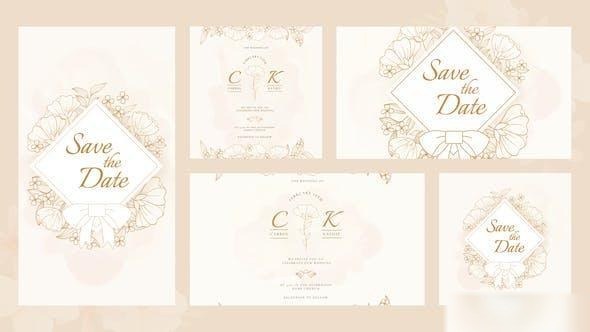Videohive Union Wedding Invitation Intro Openers template preview