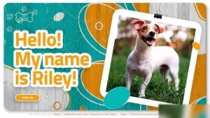 Videohive My Lovely Pet Openers template preview