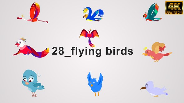 Videohive Flying birds Elements template preview