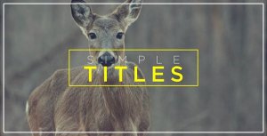 Videohive Minimal Transitions & Titles Openers template preview