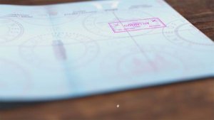 Videohive Passport Stamp Logo Animation Logo Stings template preview
