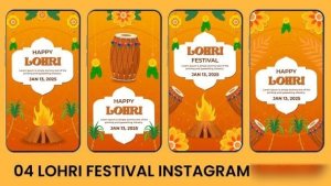 Videohive Lohri Festival Instagram Story Elements template preview