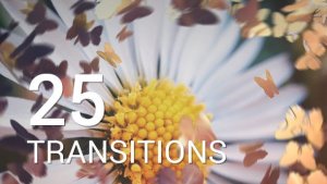 Videohive Butterflies Transitions Video Displays template preview