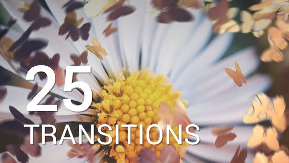 Videohive Butterflies Transitions Video Displays template preview