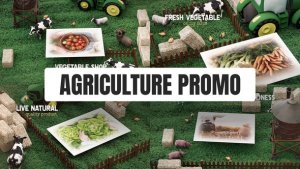Videohive Agriculture Promo Organic Farm Elements template preview