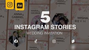 Videohive Wedding Invitation Instagram Stories 5 in 1 Openers template preview