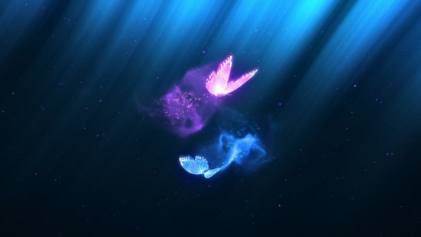 Videohive Colorful Butterfly Trails Logo Logo Stings template preview