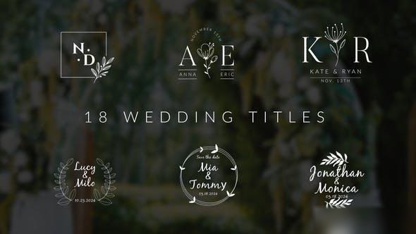 Videohive Wedding Titles 45462916 Openers template preview